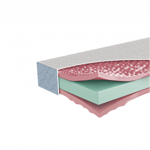 Obrázok pre Orthopedic HARDY